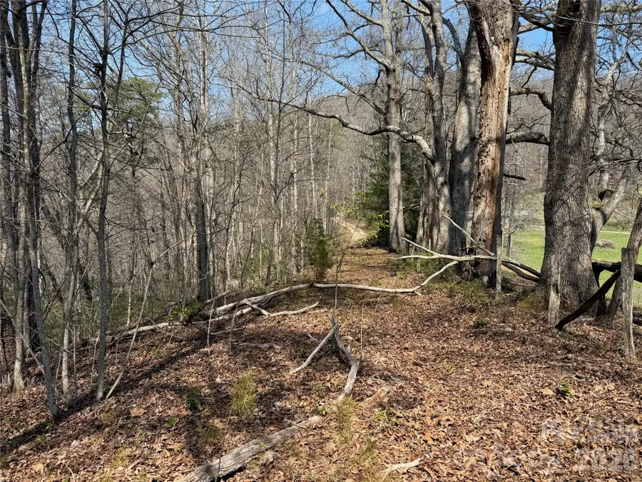 Lot 1 & 2 Boot Hill Road, Whittier, NC 28789 - #3