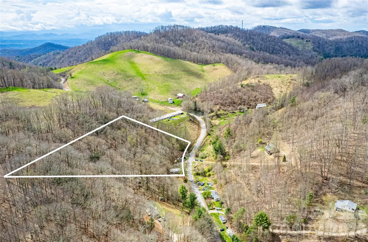 2828 Chandler Creek Road, Mars Hill, NC 28754 - #1