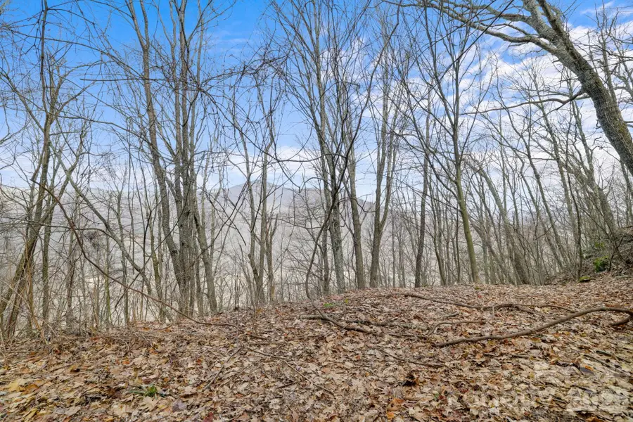 00 Forrest Drive #14, Maggie Valley, NC 28751 - #2