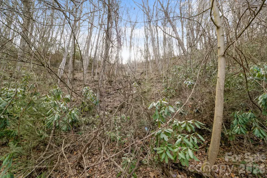 00 Forrest Drive #14, Maggie Valley, NC 28751 - #3