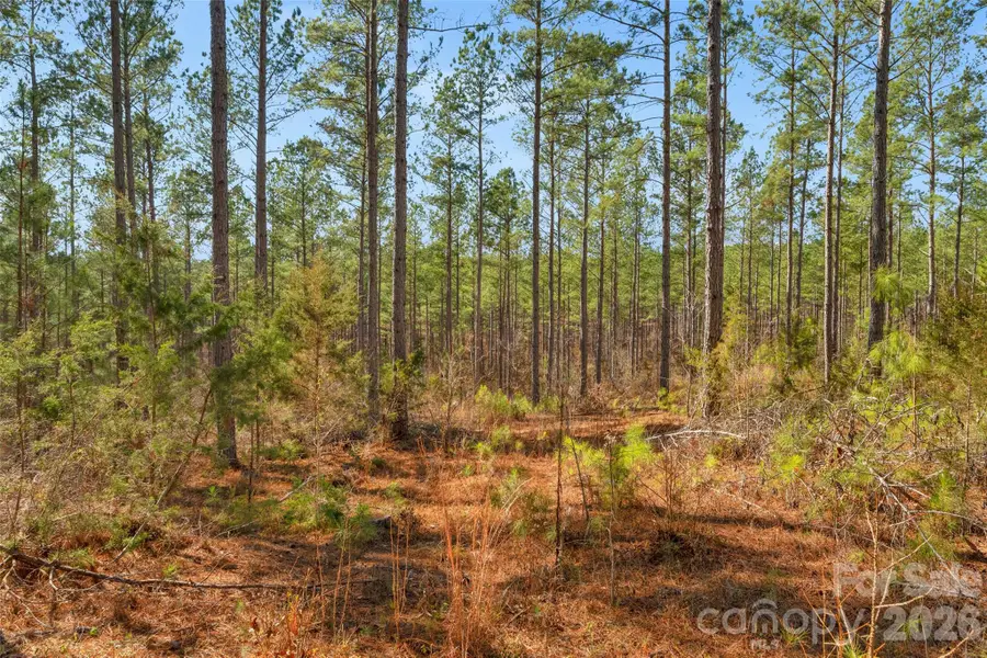 000 Peacehaven Road #2, McConnells, SC 29726 - #3