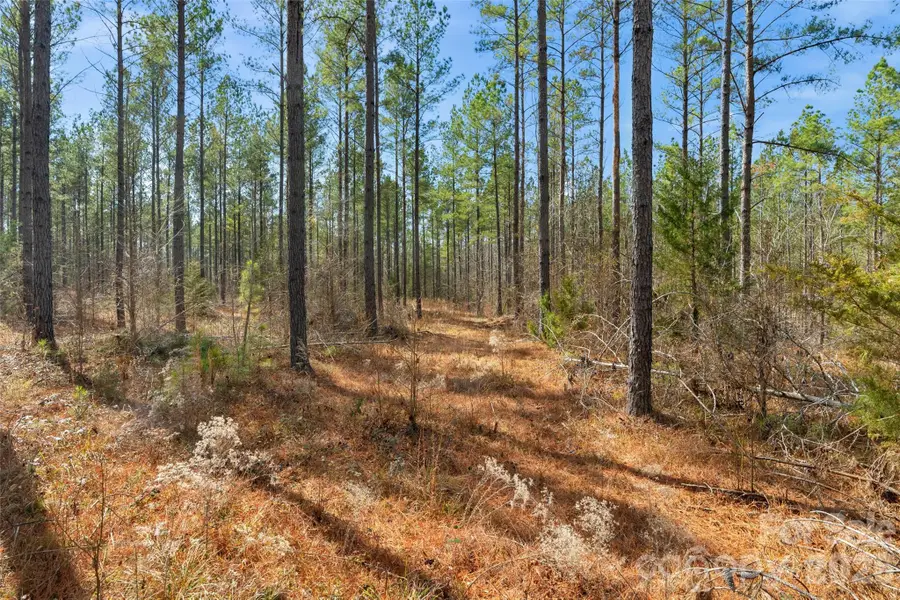 000 Peacehaven Road #5, McConnells, SC 29726 - #3