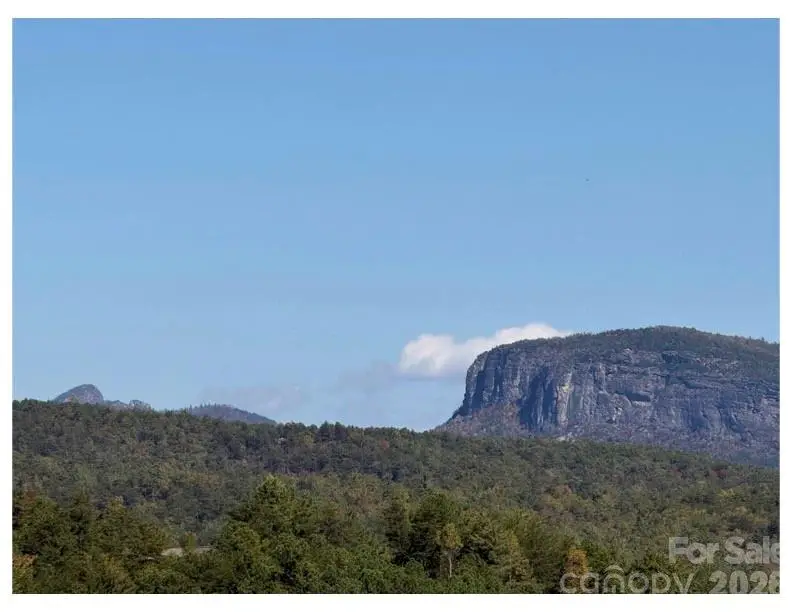 Lot #4 Pisgah Preserve Drive, Nebo, NC 28761 - #2