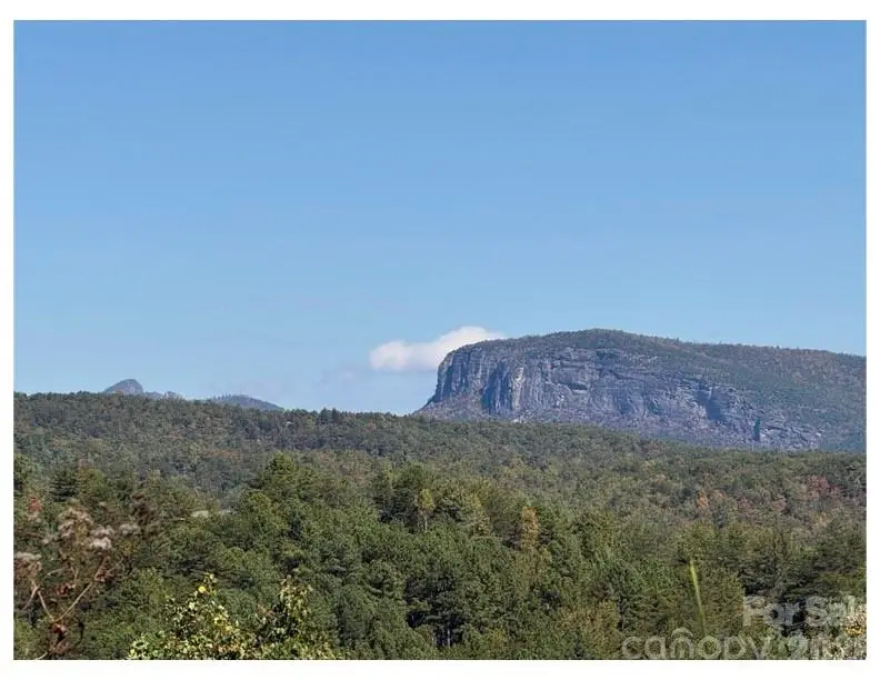Lot #4 Pisgah Preserve Drive, Nebo, NC 28761 - #3