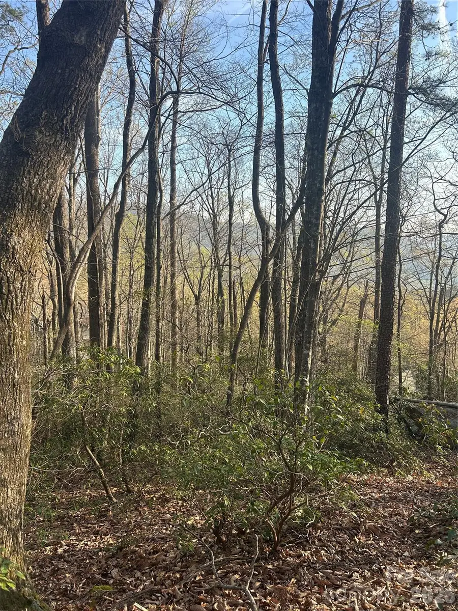 Lot 301 Cardinal Road #301, Lake Lure, NC 28746 - #3