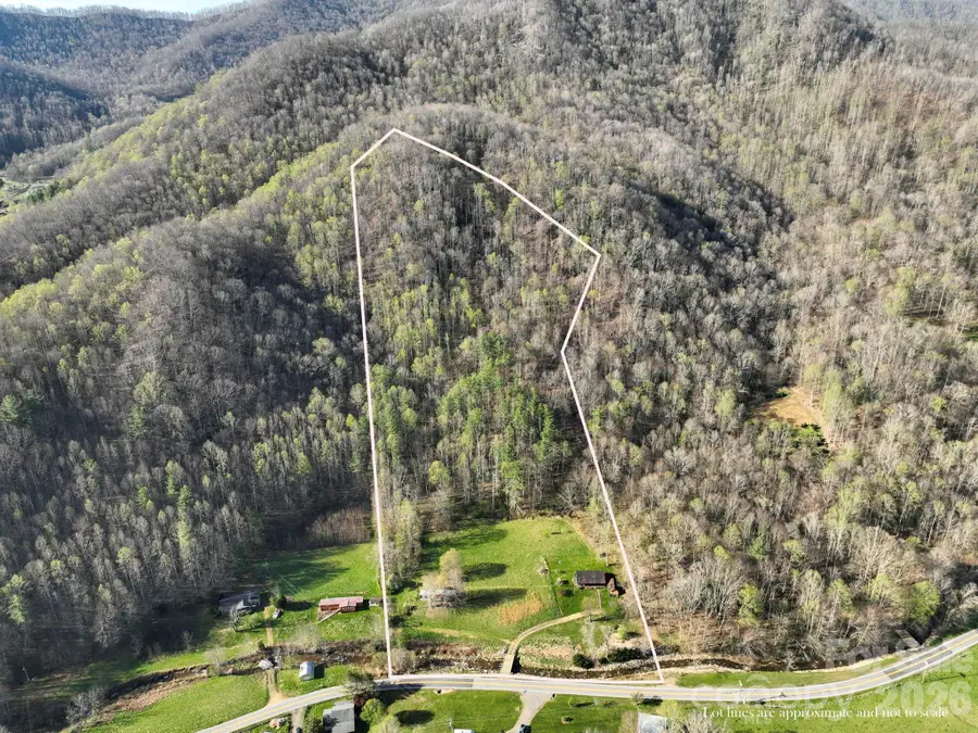 3041 Bald Mountain Road, Burnsville, NC 28714 - #3