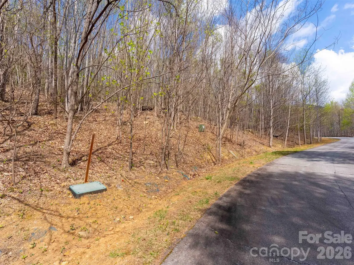 Lot 196 Cherry Hill #196, Mill Spring, NC 28756 - #1