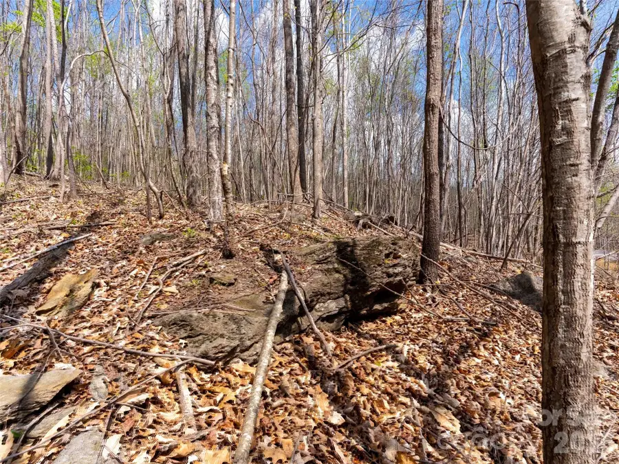 Lot 196 Cherry Hill #196, Mill Spring, NC 28756 - #2