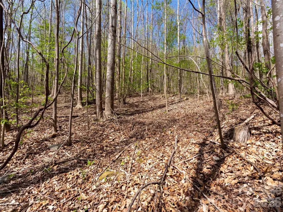 Lot 196 Cherry Hill #196, Mill Spring, NC 28756 - #3