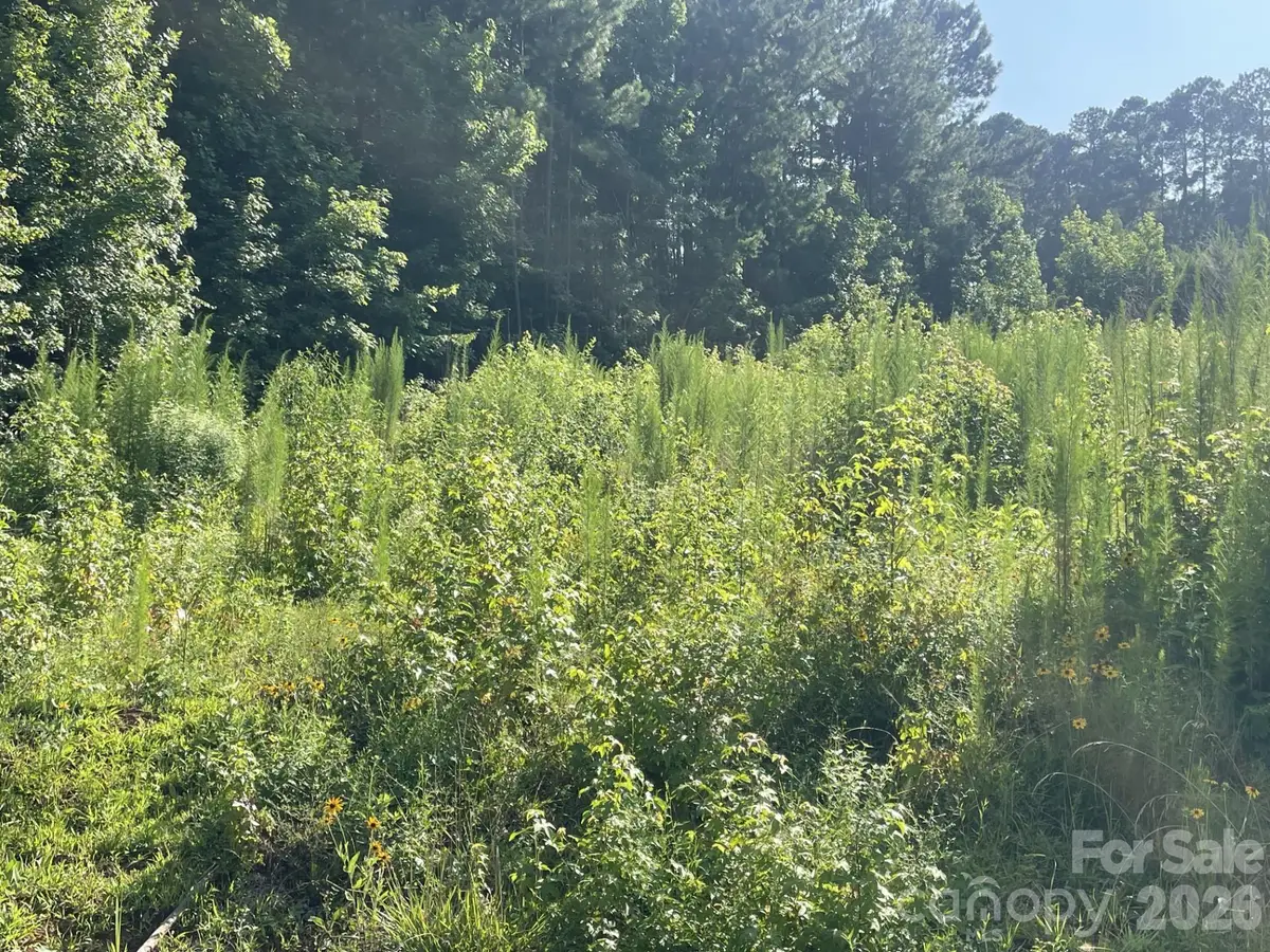 0 Ski Pond Road, New London, NC 28127 - #1