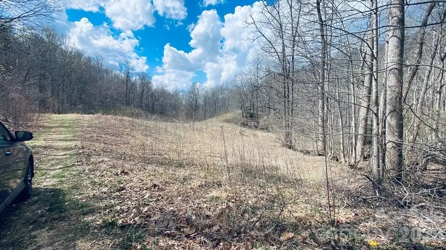 5 Brasstown Road, Cullowhee, NC 28723 - #2