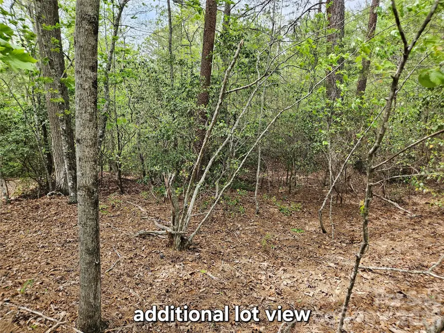 81 N Mill Ridge Road, Nebo, NC 28761 - #2