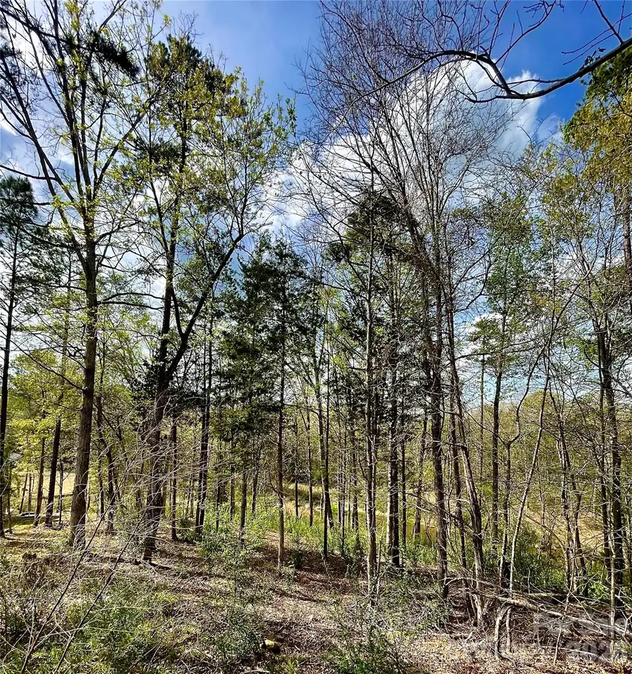 2409 Falling Leaf Court #69, Rock Hill, SC 29732 - #2