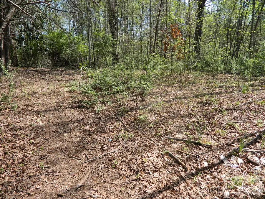 1329 Overlook Drive Sw, Lenoir, NC 28645 - #3