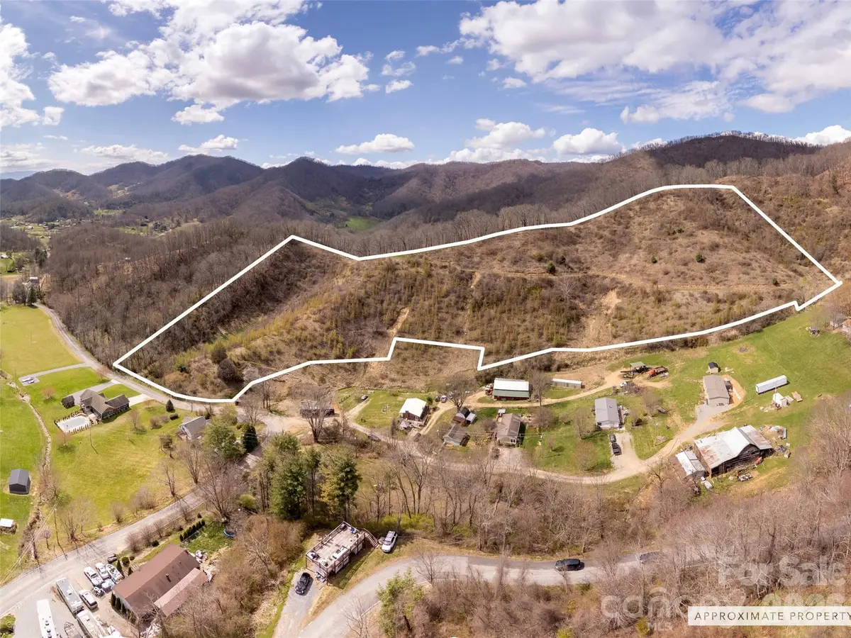 TBD Wilson Cove Road, Canton, NC 28716 - #1