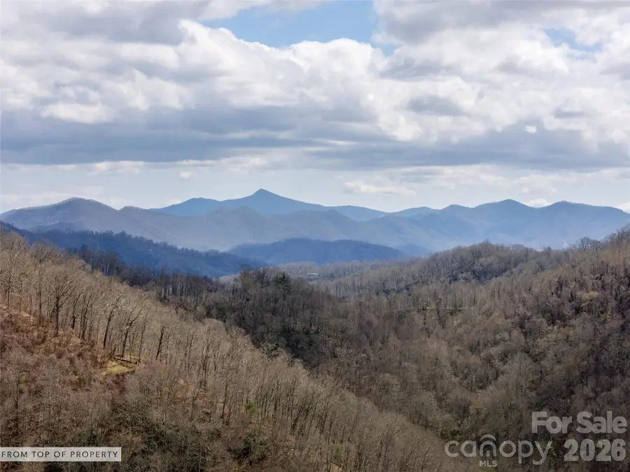 TBD Wilson Cove Road, Canton, NC 28716 - #3