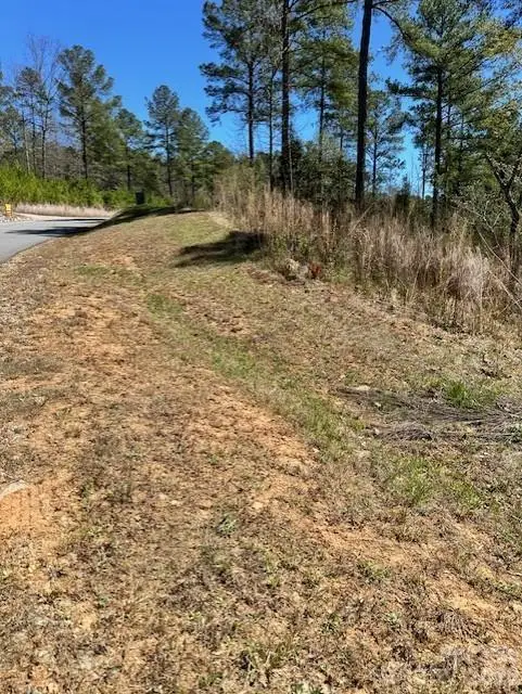 1581 Scenic Lane #259, Granite Falls, NC 28630 - #3