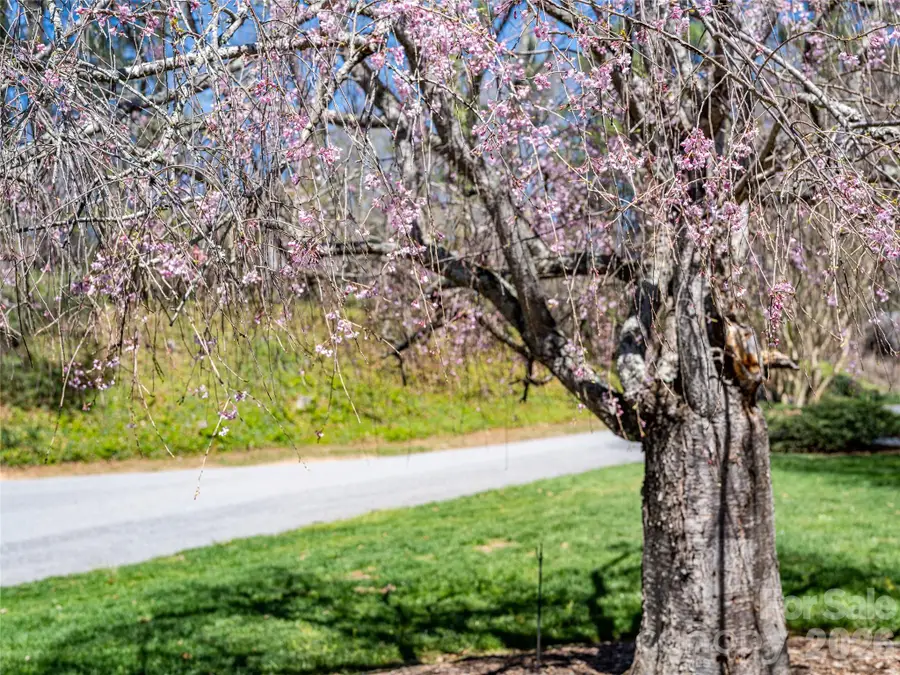 4 Dogwood Road, Asheville, NC 28804 - #3