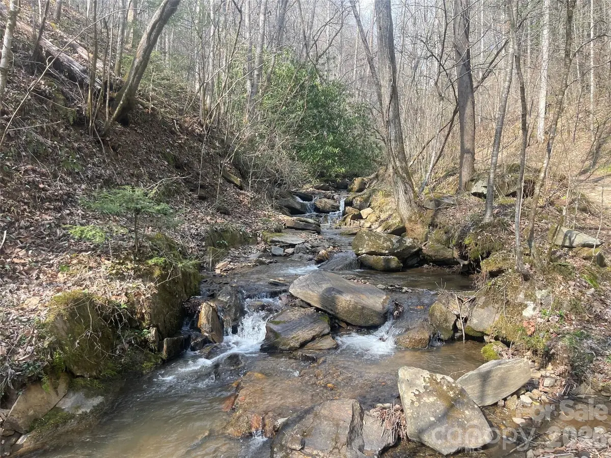 00 Cane Creek Road #TR B, Cullowhee, NC 28723 - #1