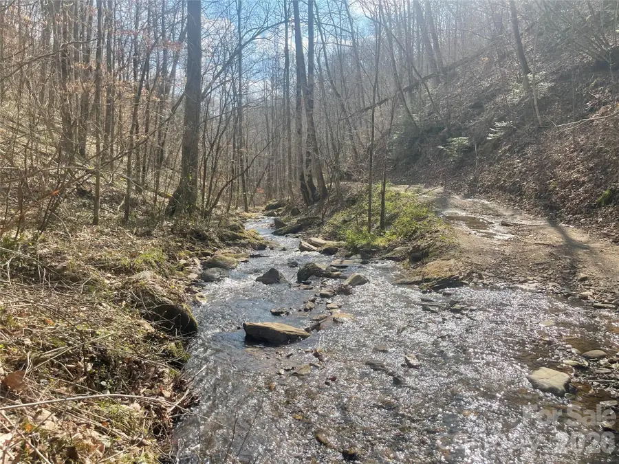 00 Cane Creek Road #TR B, Cullowhee, NC 28723 - #3