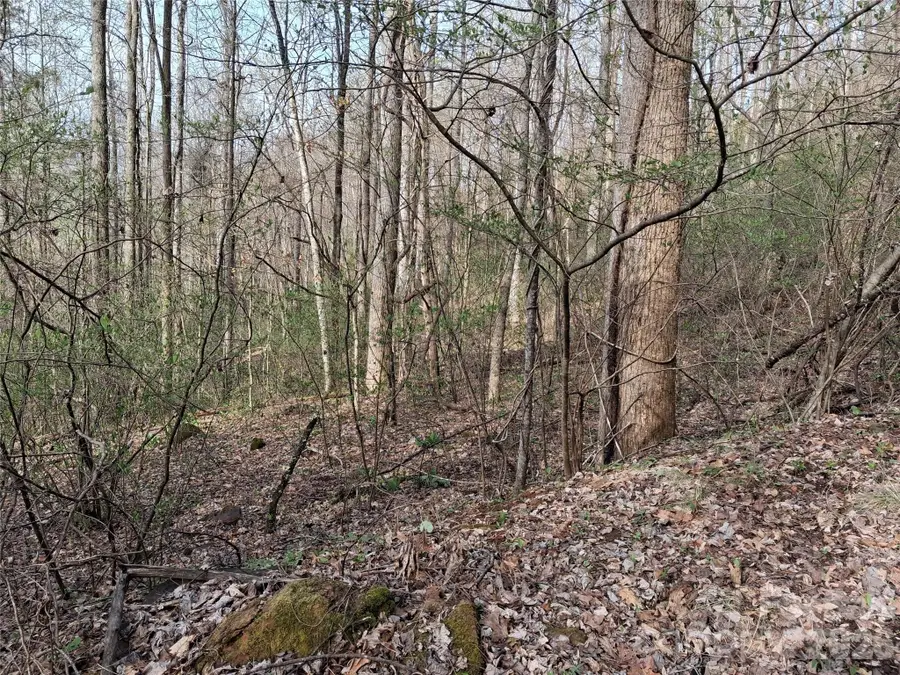 TBD Bel Air Road #18-19, 21, 23,27-28,31-33, Cullowhee, NC 28723 - #3