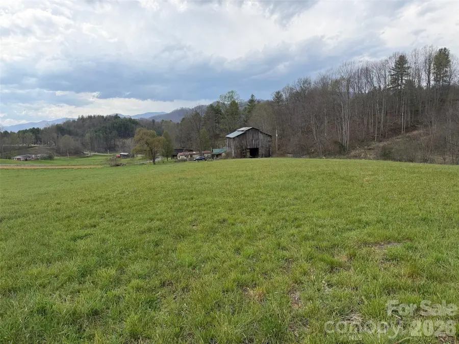 330 Tilson Branch Road, Marshall, NC 28753 - #2