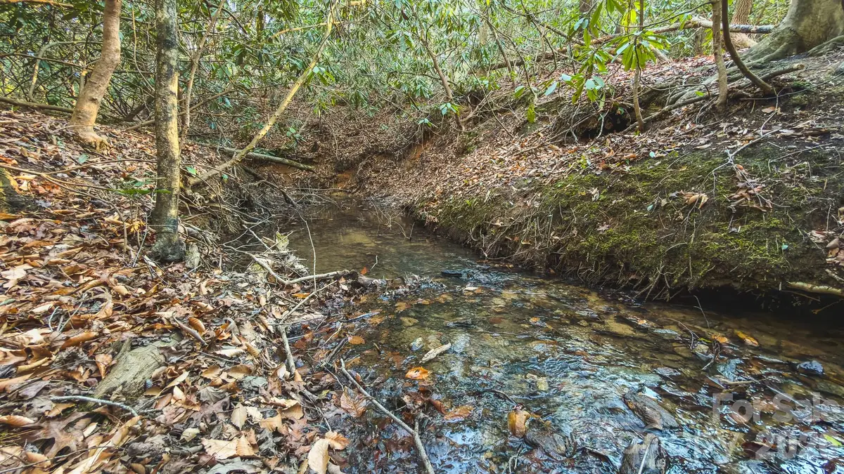 TBD All Healing Springs Road #1, Taylorsville, NC 28681 - #1