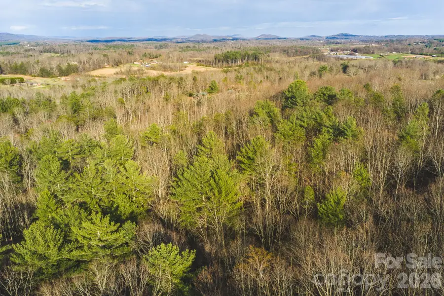 TBD All Healing Springs Road #1, Taylorsville, NC 28681 - #3