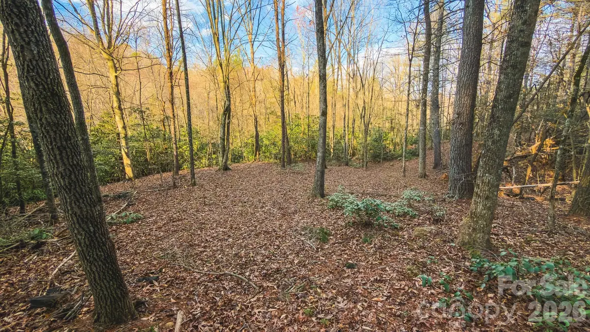 TBD All Healing Springs Road #2, Taylorsville, NC 28681 - #1