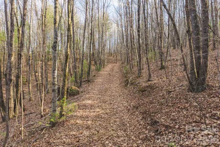 TBD All Healing Springs Road #2, Taylorsville, NC 28681 - #2