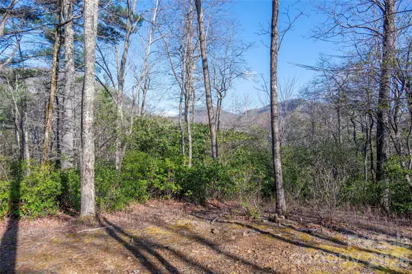 TRP 1 Cardinal Drive W, Lake Toxaway, NC 28747