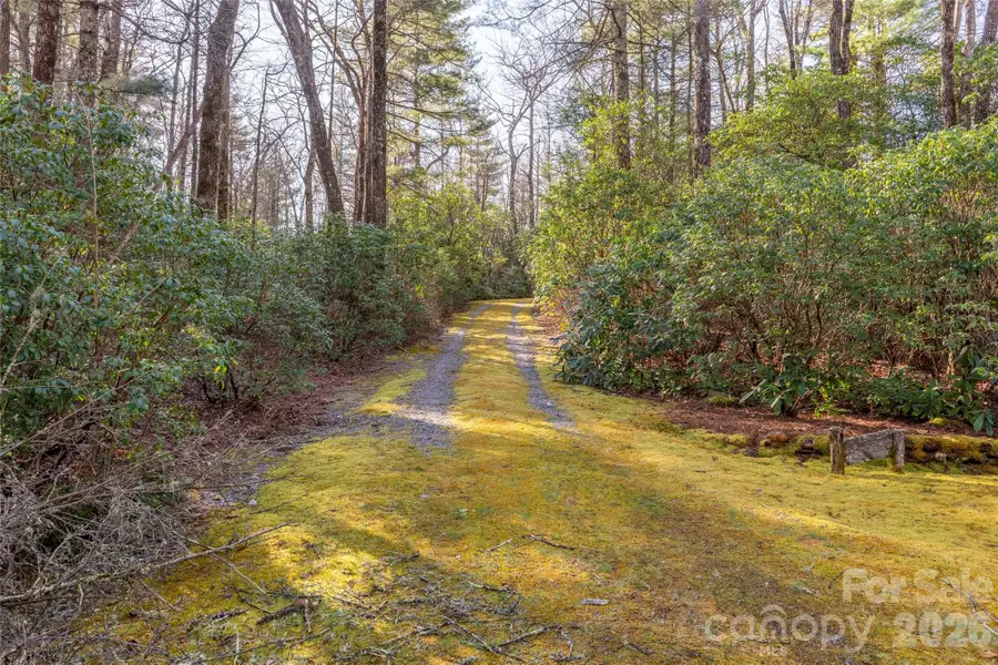 TRP 1 Cardinal Drive W, Lake Toxaway, NC 28747 - #3