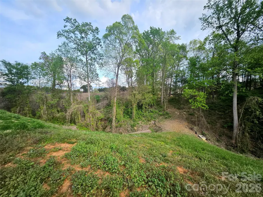 1110 Clark Hill Drive, Belmont, NC 28012 - #3