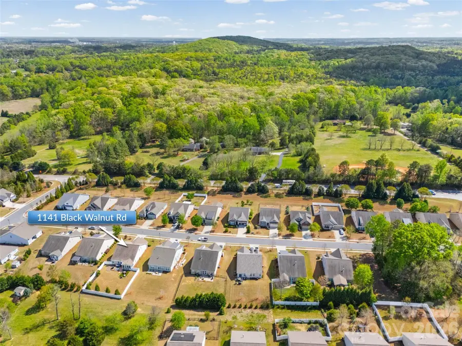 1141 Black Walnut Road, Clover, SC 29710 - #3