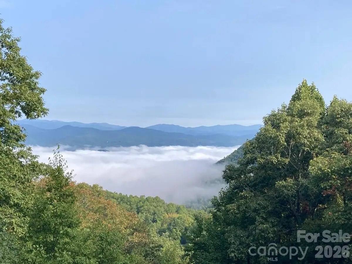 216 Tinequa Drive, Brevard, NC 28712 - #1