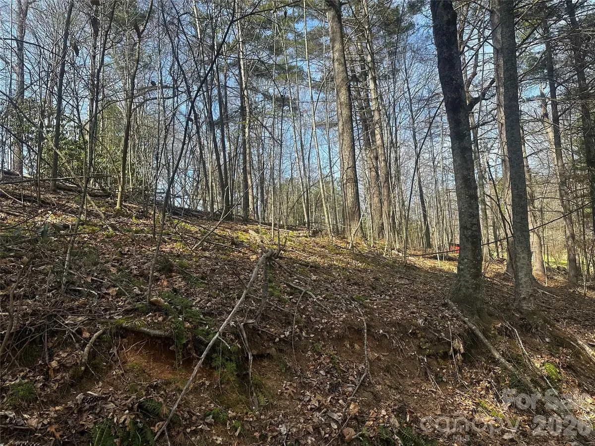 00 Saw Mill Hollow, Burnsville, NC 28714 - #1