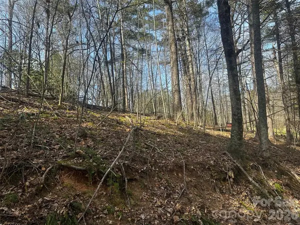 00 Saw Mill Hollow, Burnsville, NC 28714