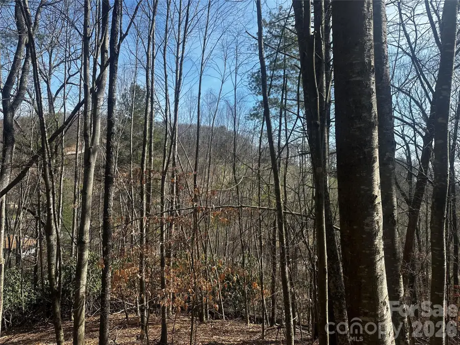00 Saw Mill Hollow, Burnsville, NC 28714 - #3