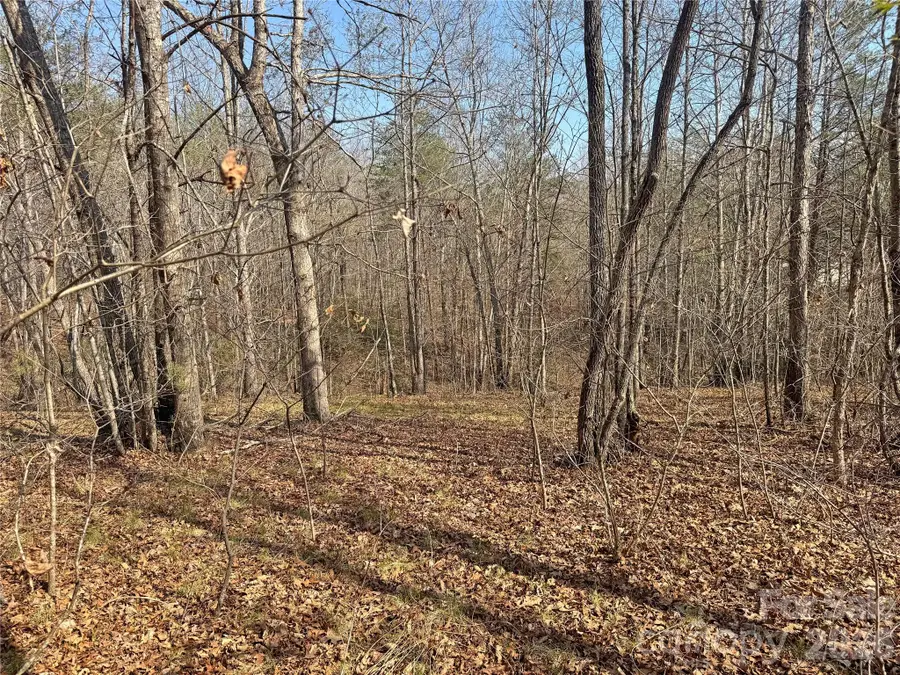 VL Amberwood Place #17, Rutherfordton, NC 28139 - #2