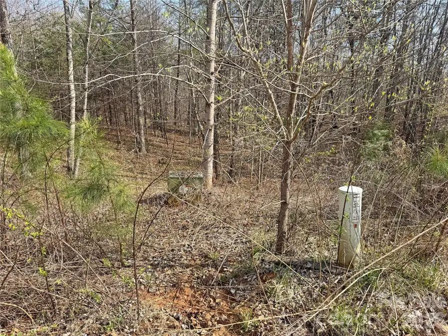 VL Amberwood Place #17, Rutherfordton, NC 28139 - #3