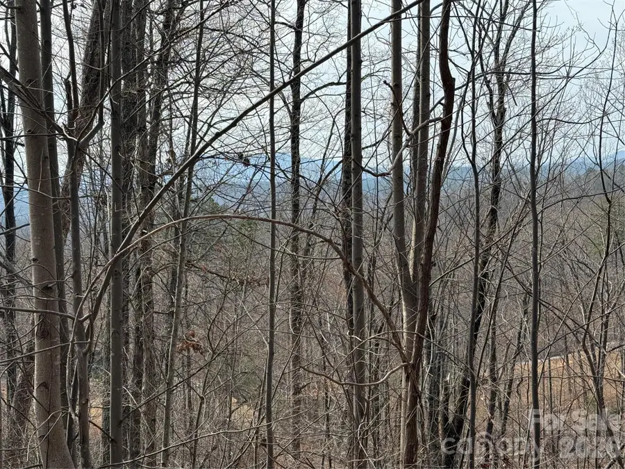 Lot 236 Rock Ledge Drive, Lake Lure, NC 28746 - #2