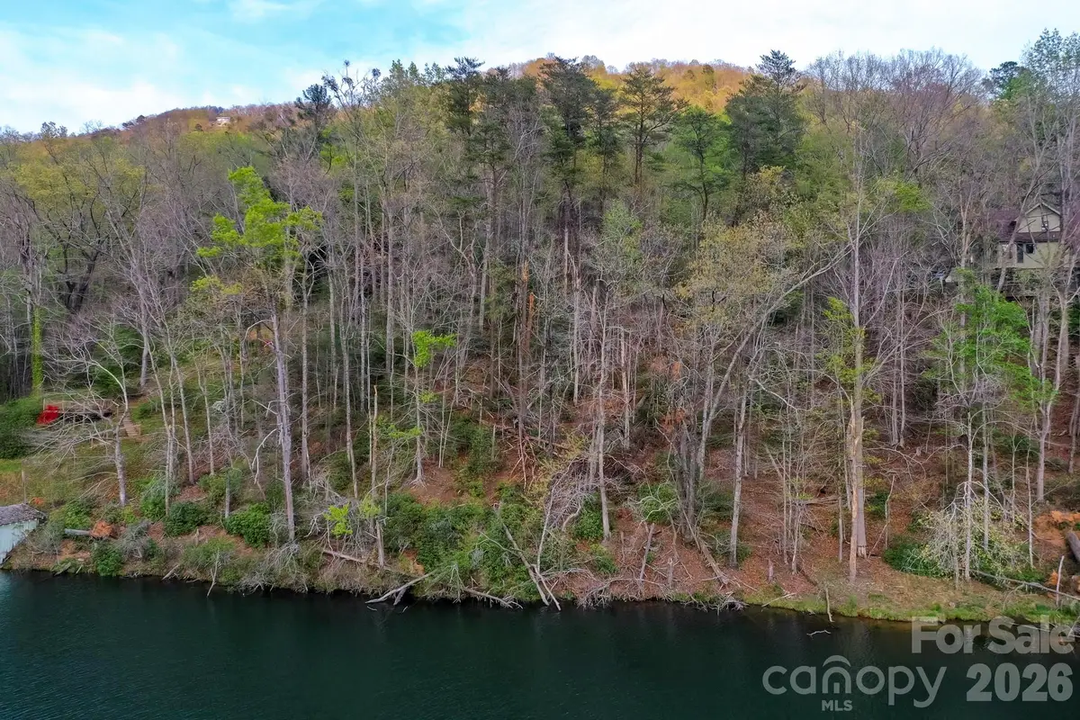 0000 Buffalo Creek Road, Lake Lure, NC 28746 - #1