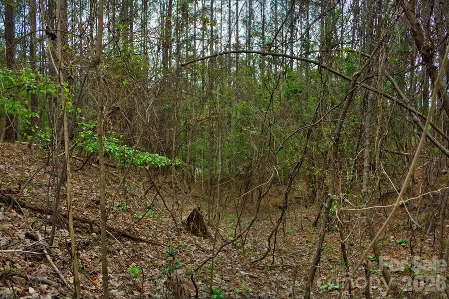 0 Clearwater Parkway #14, Rutherfordton, NC 28139 - #3