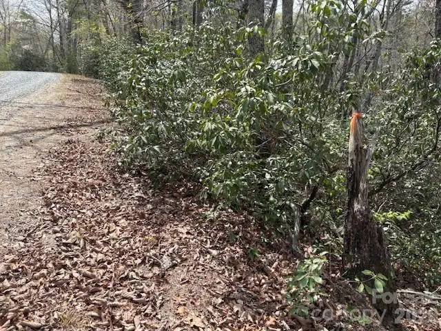 0 Poodles Way #291, Lake Lure, NC 28746 - #2