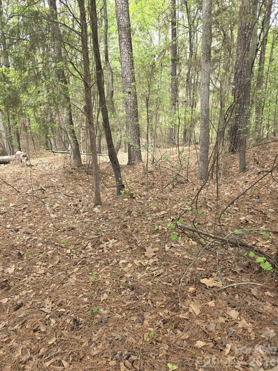 2093 Lometa Road, York, SC 29745 - #3