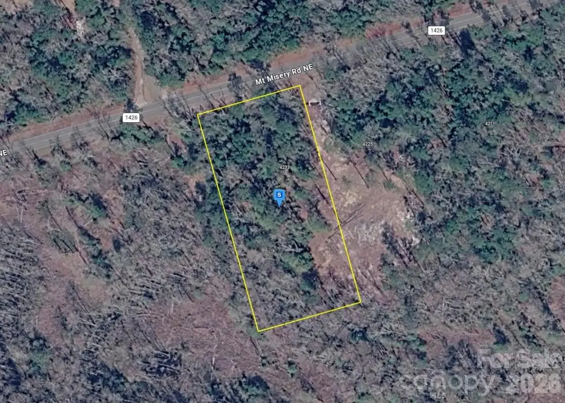 4233 Mount Misery Road Ne, Leland, NC 28451 - #1