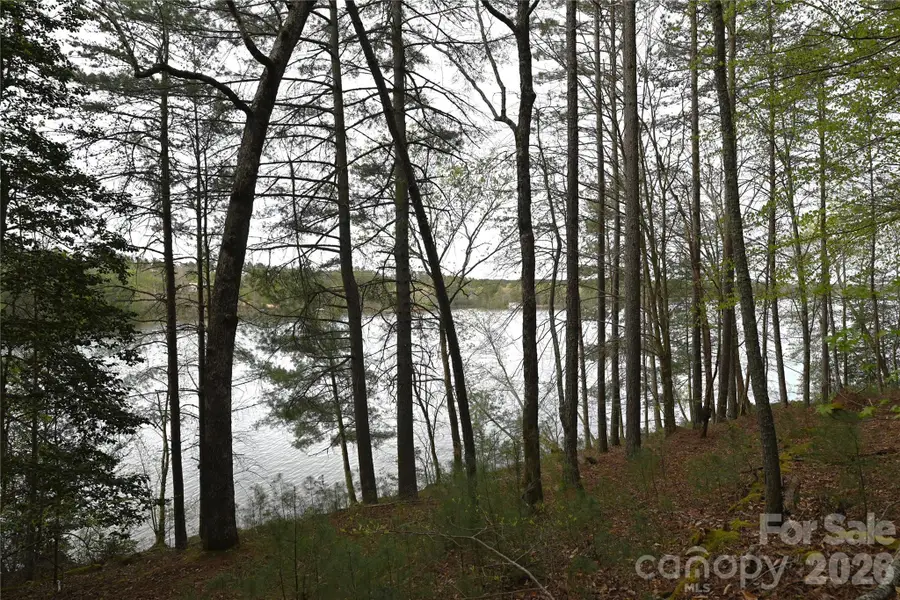 2299 Lighthouse Lane #76, Connelly Springs, NC 28612 - #2