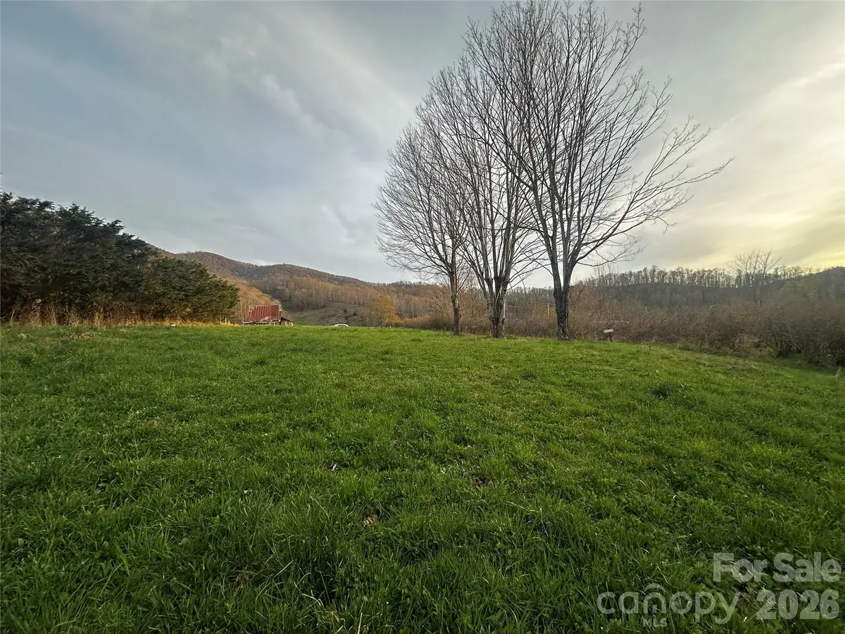 497 Odoms Chapel Road, Bakersville, NC 28705 - #1