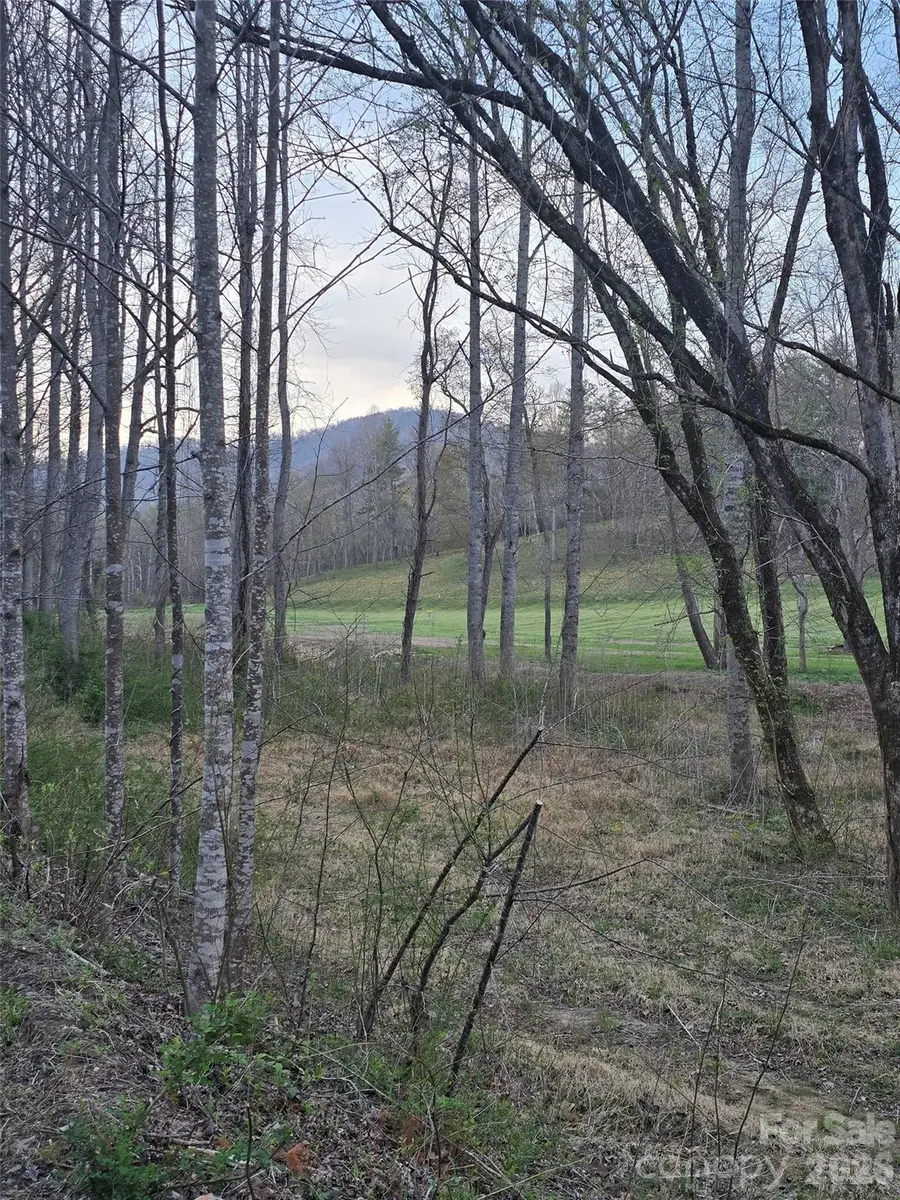 91 Miller Road, Fairview, NC 28730 - #2