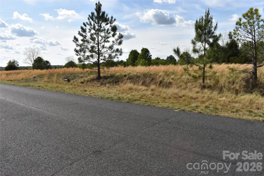 57 Malden Court, Crouse, NC 28033 - #3